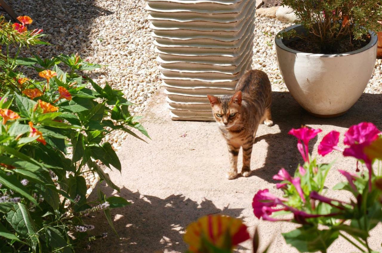 Bed and Breakfast L'Arbre D'Ange Montmorillon Esterno foto