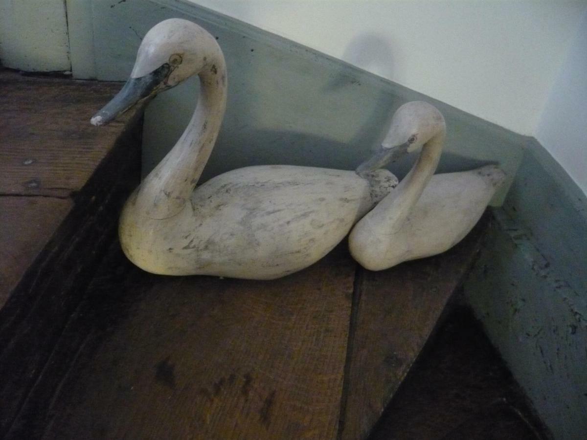 Bed and Breakfast L'Arbre D'Ange Montmorillon Esterno foto